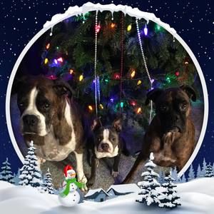 Meet your Posher, Tami